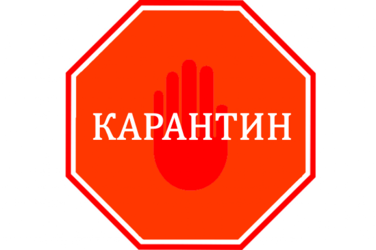 КАРАНТИН ДЛЯ УЧАЩИХСЯ 1 И 2 КЛАССОВ.